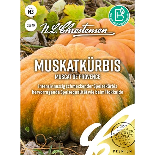 Moliūgai Muscat de Provence Chrestensen interface.image 1 interface.art 86071