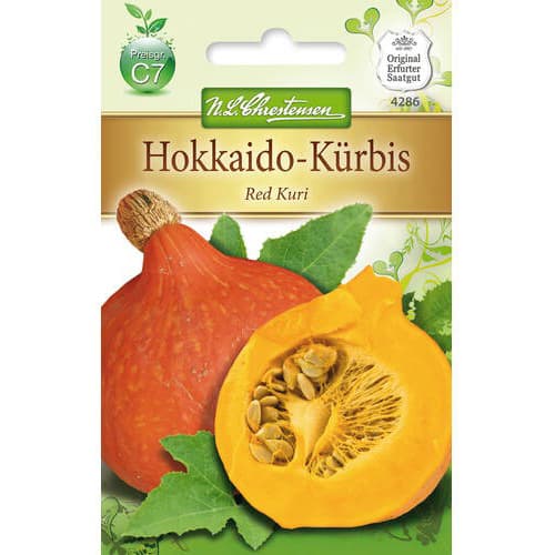 Moliūgai Red Kuri interface.image 1 interface.art 78796