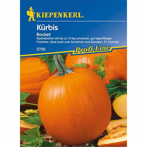 Moliūgas Rocket F1 Kiepenkerl interface.art nuotrauka 1 Moliūgas Rocket F1 Kiepenkerl interface.image 1 interface.art 96629