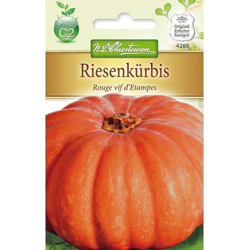 Moliūgai Rouge vif d´Etampes interface.image 1 interface.art 78797