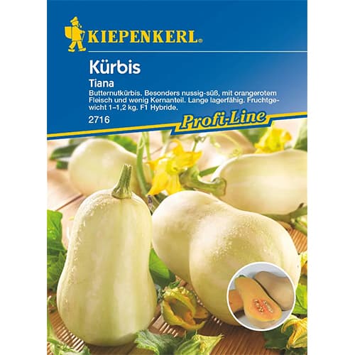 Moliūgai Tiana F1 interface.image 1 interface.art 87282