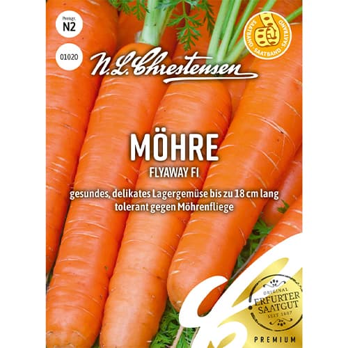 Morkos Flyaway F1 Chrestensen interface.image 1 interface.art 86067