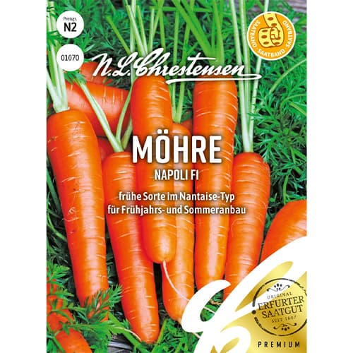 Morkos Napoli F1 interface.image 1 interface.art 86069