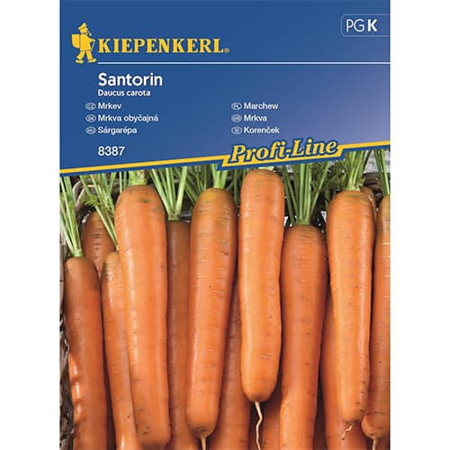 Morkos Santorin, F1 interface.art nuotrauka 1 Morkos Santorin, F1 interface.image 1 interface.art 87789