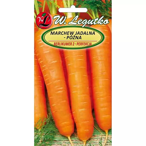 Morkų Berlikumer 2 interface.art nuotrauka 1 Morkų Berlikumer 2 interface.image 1 interface.art 78483