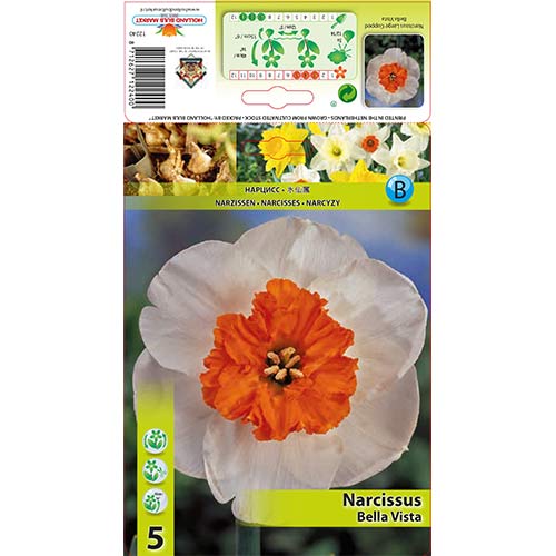 Narcizas Bella Vista interface.image 1 interface.art 67640