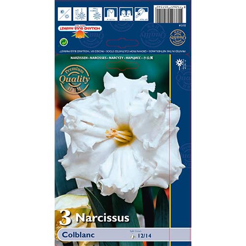 Narcizas Colblanc interface.art nuotrauka 1 Narcizas Colblanc interface.image 1 interface.art 67648