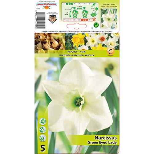 Narcizas Green Eyed Lady interface.art nuotrauka 1 Narcizas Green Eyed Lady interface.image 1 interface.art 67429