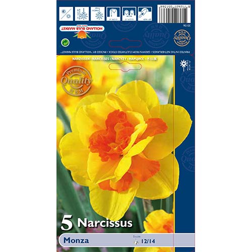 Narcizas Моnza interface.art nuotrauka 1 Narcizas Моnza interface.image 1 interface.art 70237
