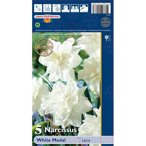 Narcizas pilnaviduris Barbie Doll interface.art nuotrauka 1 Narcizas pilnaviduris Barbie Doll interface.image 1 interface.art 67643