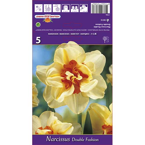 Narcizas pilnaviduris Double Fashion interface.image 1 interface.art 67413