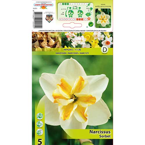 Narcizas Sorbet interface.art nuotrauka 1 Narcizas Sorbet interface.image 1 interface.art 67430