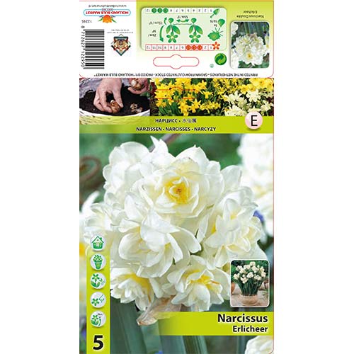Narcizas miniatiūrinis Erlicheer interface.image 1 interface.art 70285