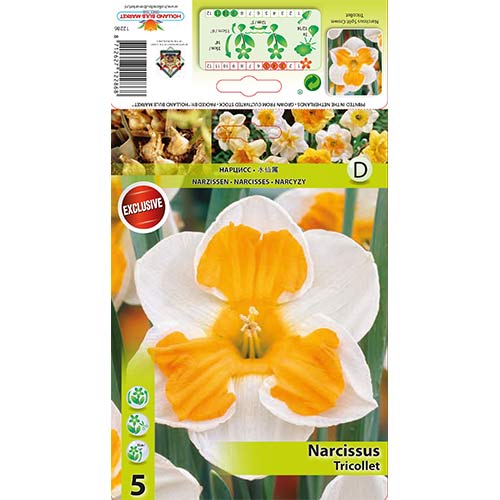 Narcizas Tricollet interface.art nuotrauka 1 Narcizas Tricollet interface.image 1 interface.art 67436