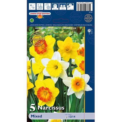 Narcizai vamzdiniai, mišinys interface.image 1 interface.art 67665