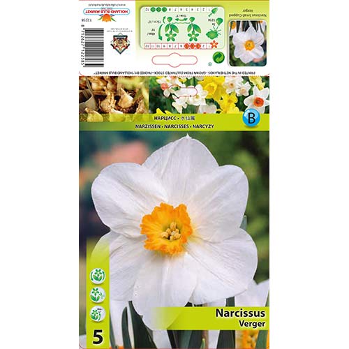 Narcizas Verger interface.art nuotrauka 1 Narcizas Verger interface.image 1 interface.art 70279