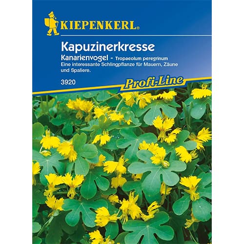 Nasturtės karpytalapės geltonos interface.image 1 interface.art 86274