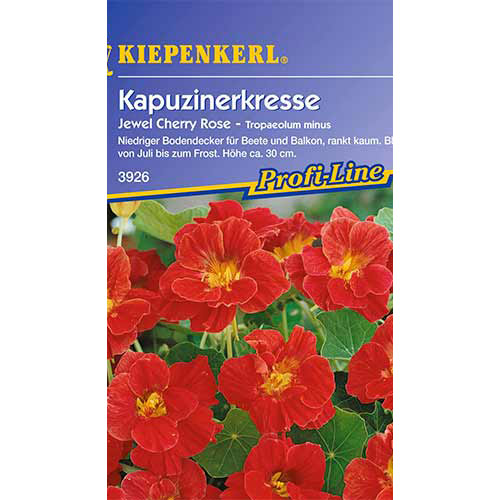 Nasturtė mažesnis Jewel Cherry Rose Kiepenkerl interface.image 1 interface.art 86272