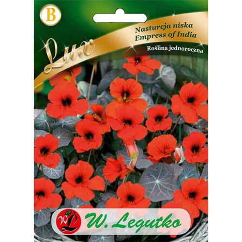 Nasturtium žema Indijos imperatorienė interface.image 1 interface.art 86750