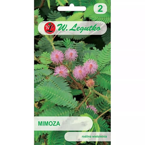 Nedrąsi mimoza interface.art nuotrauka 1 Nedrąsi mimoza interface.image 1 interface.art 69609