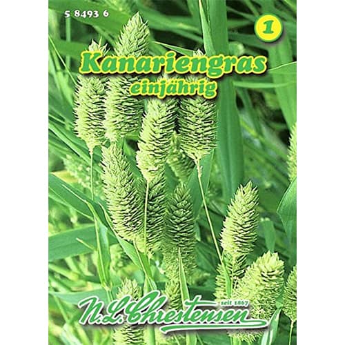 Nendriniai kanariniai Kanariengras interface.art nuotrauka 1 Nendriniai kanariniai Kanariengras interface.image 1 interface.art 87814