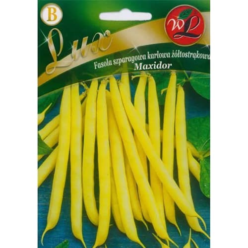 Nykštukinės geltonosios pupelės Maxidor interface.art nuotrauka 1 Nykštukinės geltonosios pupelės Maxidor interface.image 1 interface.art 96818