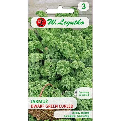 Nykštukiniai žalieji garbanotieji kopūstai interface.art nuotrauka 1 Nykštukiniai žalieji garbanotieji kopūstai interface.image 1 interface.art 69474