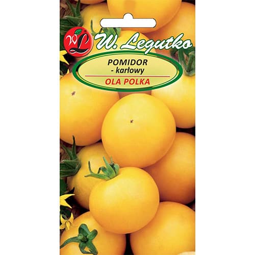 Nykštukinis pomidoras Ola Polka interface.image 1 interface.art 69516