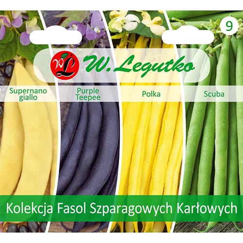 Nykštukinių šparaginių pupelių kolekcija interface.art nuotrauka 1 Nykštukinių šparaginių pupelių kolekcija interface.image 1 interface.art 96838