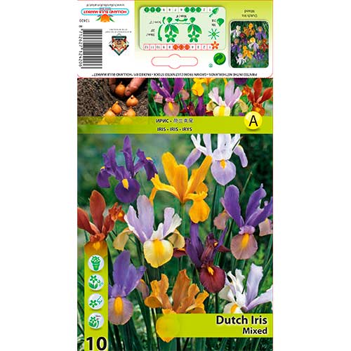 Olandiškasis Irisas (Iris) Mixed interface.image 1 interface.art 76229