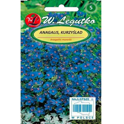 Opuncija mėlynoji (Anagallis) Legutko interface.image 1 interface.art 96764