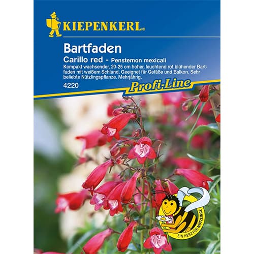 Penstemonai meksikiečių Carillo Red interface.image 1 interface.art 86248