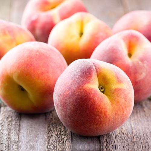 Persikas Platybest interface.image 1 interface.art 4300