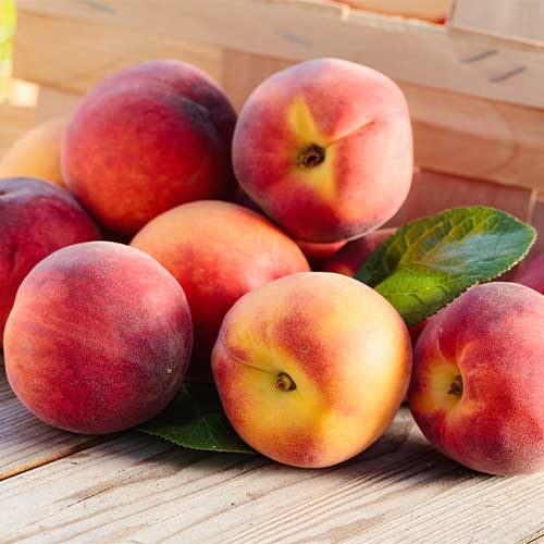 Persikas Romeo, C2 interface.image 1 interface.art 9678