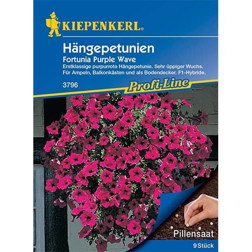 Petunijos Fortunia Purple Wave F1 Kiepenkerl interface.art nuotrauka 1 Petunijos Fortunia Purple Wave F1 Kiepenkerl interface.image 1 interface.art 50060