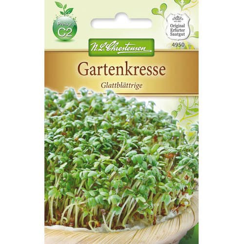 Pipirnės Glattblattrige interface.image 1 interface.art 78855