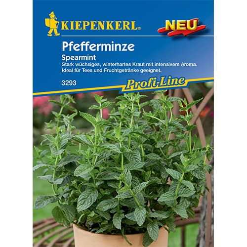Pipirmėtės Spearmint Kiepenkerl interface.art nuotrauka 1 Pipirmėtės Spearmint Kiepenkerl interface.image 1 interface.art 50019