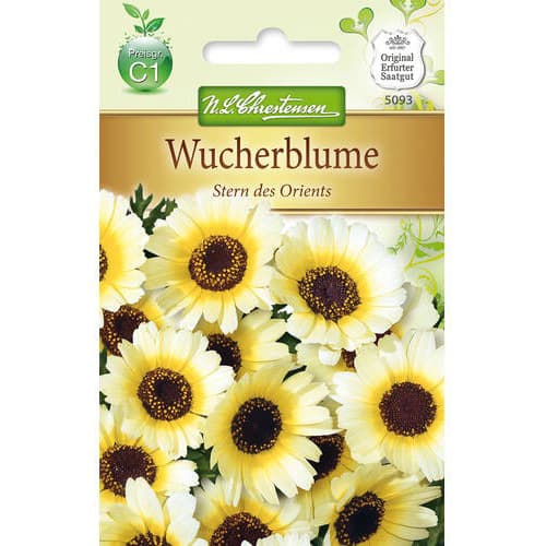 Dirvinės skaistažiedės interface.image 1 interface.art 78900