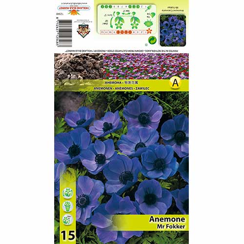Plukė (Anemone) Mr Fokker interface.image 1 interface.art 70339