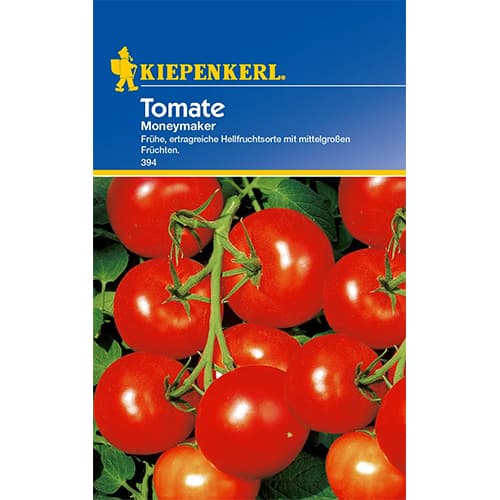 Pomidorai Moneymaker Kiepenkerl interface.image 1 interface.art 96664