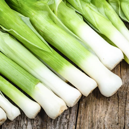 Porai Elefant Kiepenkerl interface.art nuotrauka 1 Porai Elefant Kiepenkerl interface.image 1 interface.art 50020