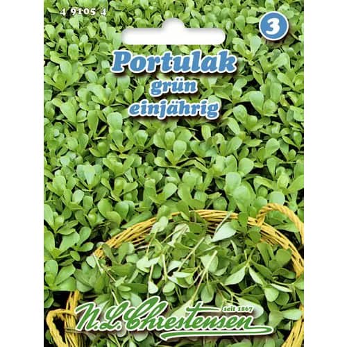 Portulakos darželinės, sėklomis interface.image 1 interface.art 96439