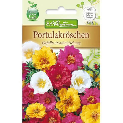 Portulakis didžiažiedės, mišinys interface.image 1 interface.art 78931