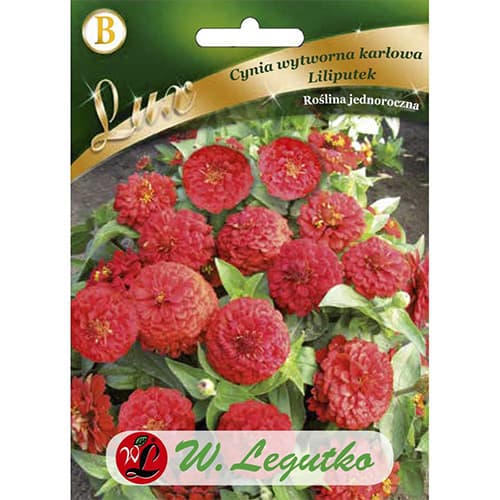 Puikios nykštukinės zinijos Liliputek raudona interface.image 1 interface.art 78662