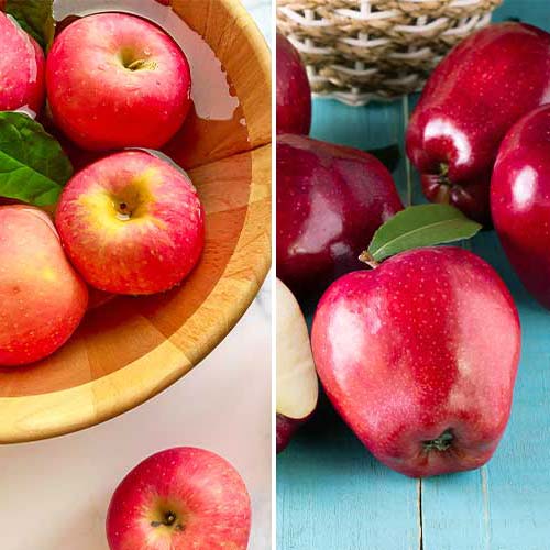 Puikus pasiūlymas! 2 sodinukų rinkinys interface.image 1 interface.art 5872