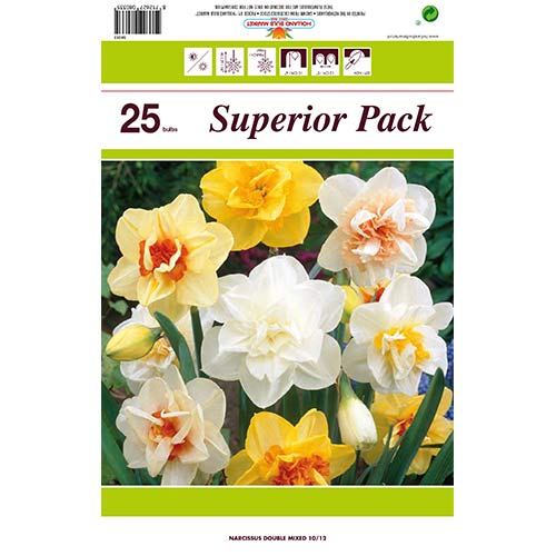 Puikus pasiūlymas! Narcizai kilpiniai, spalvų mišinys, 25 svogūnėlių rinkinys interface.image 1 interface.art 70317