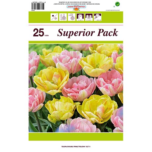 Puikus pasiūlymas! Tulpės, 2 veislių rinkinys interface.image 1 interface.art 70316