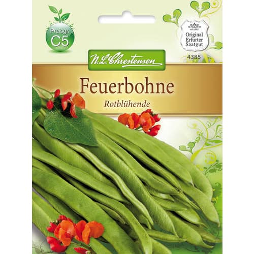 Pupelės daugiažiedės Rotbluhende interface.image 1 interface.art 78829