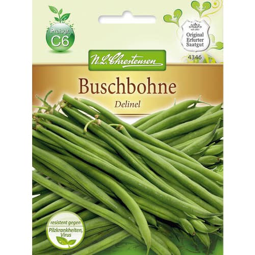 Pupelės Delinel interface.image 1 interface.art 78816