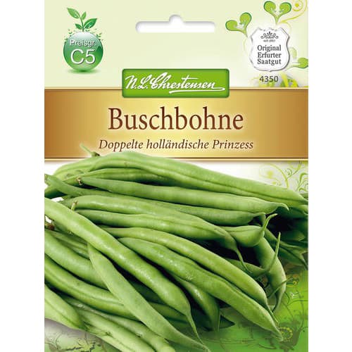 Pupelės Doppelte Hollandische Prinzess interface.image 1 interface.art 78817